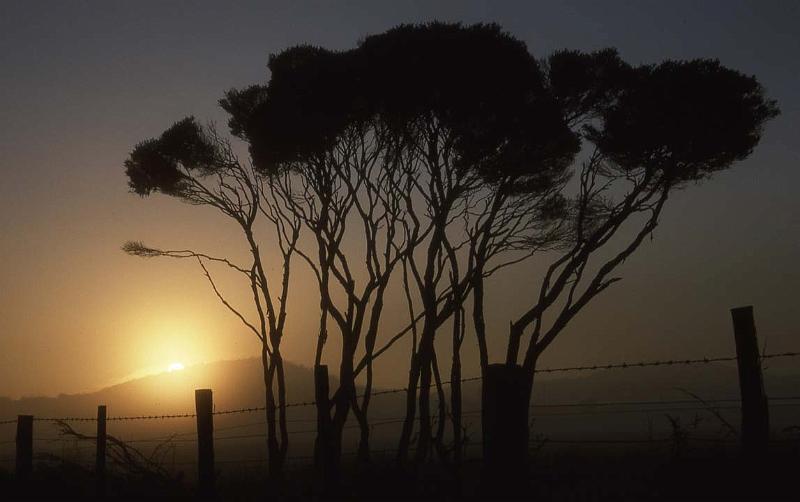 RWT 0071 078-07 Australia Tassie Sunrise.jpg